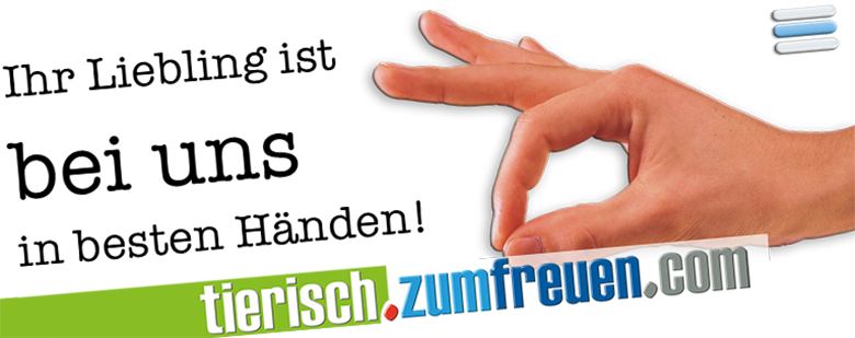 osteopathie für pferde, hunde, katzen