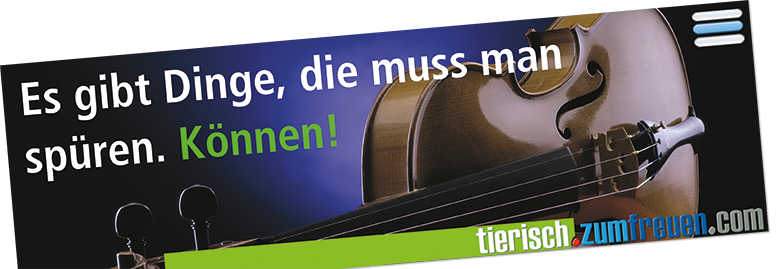 Physiotherapie für Tiere