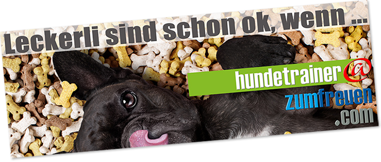 hundeerziehung mit  belohnung