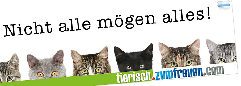 tiernahrung vergleich