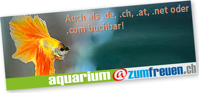 hunde news, hunde info