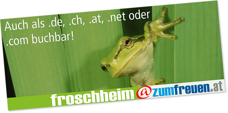 hunde news, hunde info